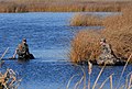 Hunters wade through the wetlands while hunting for waterfowl.jpg