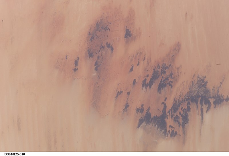 File:ISS010-E-24510 - View of Niger.jpg