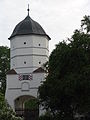 Tower of a former castle complex
