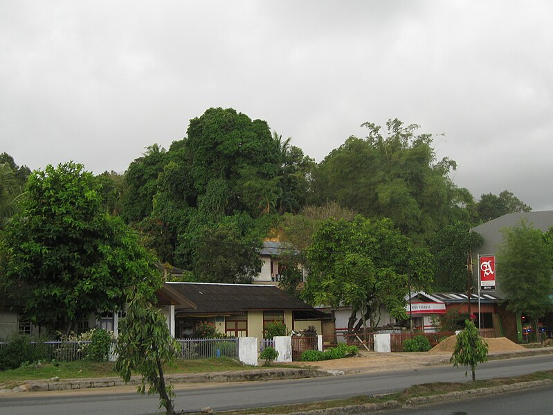 File:Indonesia (New Guinea Island)(24).jpg