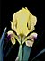 Iris pseudopumila02.jpg