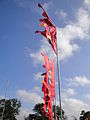 Flags up at the Isle of Wight Festival 2012, held at Seaclose Park, Newport, Isle of Wight.