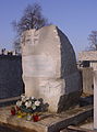 English: Tomb of dr Leopold Byrkowski Polski: Grób dr Leopolda Byrkowskiego