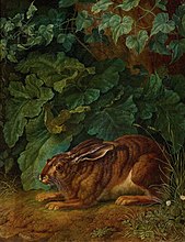 Hase im Gebüsch (1803)