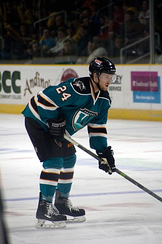 <span class="mw-page-title-main">Joakim Ryan</span> Swedish ice hockey player