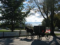 Horse-drawn buggy painted in the Mennonite style, such as the Groffdale Church would use Jrb 20071024 Mennonite Amish buggy Shipshewana Indiana.JPG