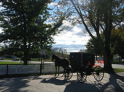 Jrb 20071024 Mennonite Amish buggy Shipshewana Indiana.JPG