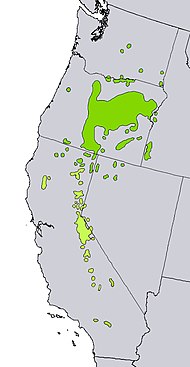 Карта на ареал Juniperus occidentalis.jpg