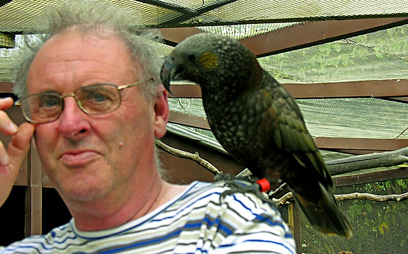 File:Kaka on shoulder.jpg