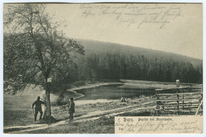 Der Auerhahnteich 800px-Karl_F._Wunder_PC_0003a_Harz._Partie_bei_Auerhahn._Ansichtsseite