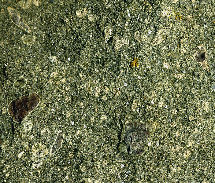 File:Kimberlite (Indian Guide Kimberlite Field, Devonian; Iron Mountain Kimberlite District, NE of Laramie, Wyoming, USA) (14823488105).jpg