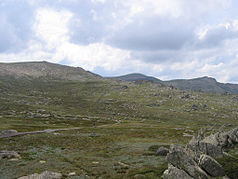 Monte Kosciuszko