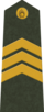 LV-Ejército-OR5.png