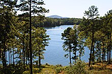 Hot Springs' Lake Hamilton, viewed from a Garvan Woodland Gardens trail. Lake Hamilton.jpg