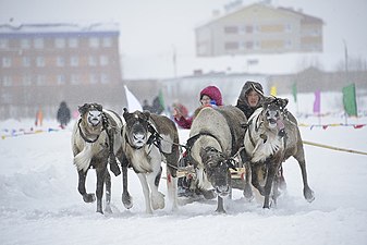 О компании