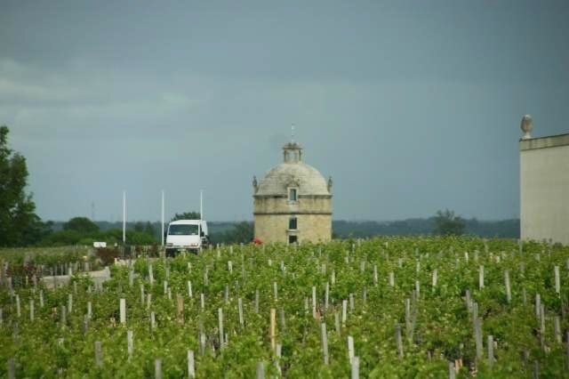 The Château Latour tower in Pauillac is featured on every bottle of this First Growth wine