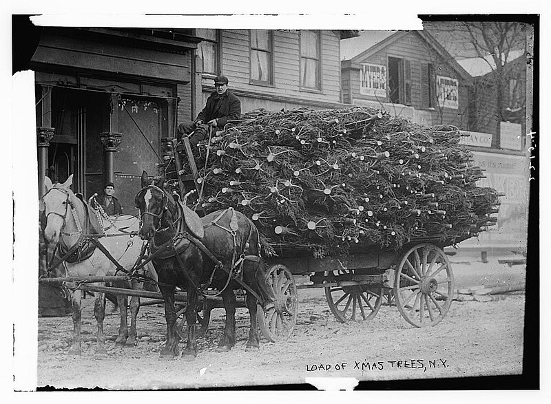 File:Load of Xmas trees, N.Y. LOC 2162692101.jpg