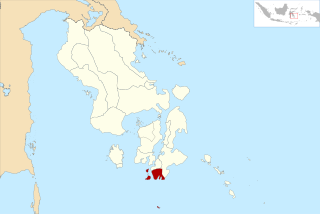 <span class="mw-page-title-main">South Buton Regency</span> Regency in Sulawesi, Indonesia