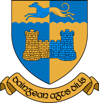 <span class="mw-page-title-main">Longford County Council</span> Local government authority for county of Longford in Ireland