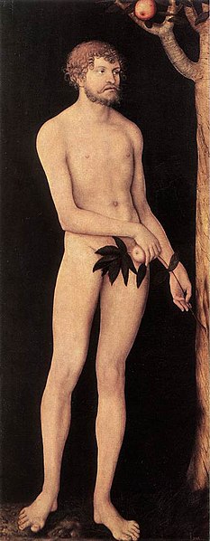 File:Lucas Cranach d. Ä. - Adam and Eve - WGA05622 (Adam).jpg