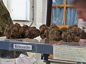Marchés aux truffes d'Aups, de Carpentras et de Richerenches