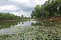 Madhobpur Lake