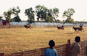 Madurese People