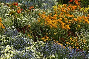 English: Mainau: The island of flowers. Deutsch: Mainau: Die Blumeninsel.