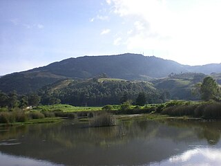 Western Savanna Province Province in Cundinamarca, Colombia