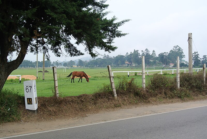 File:Marker on the A5 highway in Nuwara Eliya.JPG