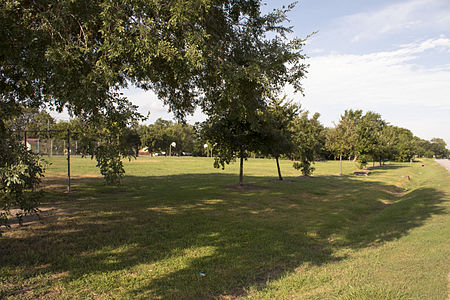 A side view of the field.