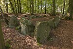 Megalithgrab Everstorfer Forst Nord 3.jpg