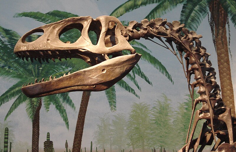File:Megalosaurus.JPG