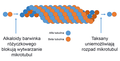 Mikrotubule i alkaloidy