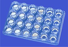 Figure 2: Minusheet tissue carriers including different biomaterials within a 24 well culture plate. Cell seeding is performed in static environment of this dish. Minusheet Figure 2.jpg