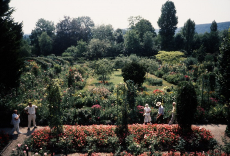 Tập_tin:Monet's_Garden_1989_Copyright_Mitzi_Humphrey.png