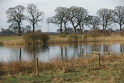 Monnik Myre - geograph.org.uk - 1803768.jpg