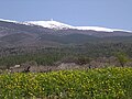 Le mont Ventoux