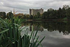 Moscow, Dzhamgarovsky Ponds (31556365862).jpg