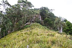 Mount Royal, basalt at 1100 metres