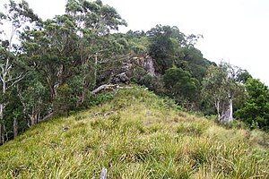 Basalt outcrop at Mount Royal at an altitude of 1,100 meters