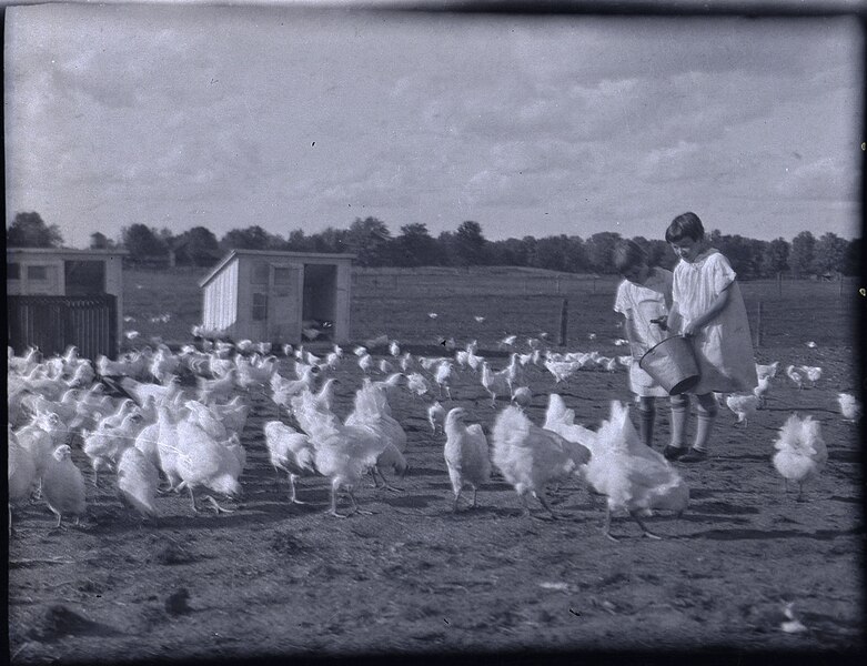 File:Mrs. Aitken's children and chickens, Breton (I0001553).tif