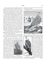 Миниатюра для Файл:Mysore-University-Encyclopaedia-Vol-6-Part-6.pdf