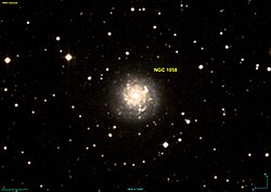 NGC 1058 DSS.jpg