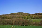Naturschutzgebiet Breiter Berg bei Haselstein mit Hinweistafeln: Ansicht des Breiten Berg von Westen