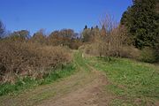 Impressionen vom Naturschutzgebiet Basaltblockmeer am Buchschirmküppel,