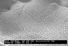 SEM image of nanoparticles Nanoparticle.jpg