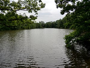 Large pond in the Bustedter meadows