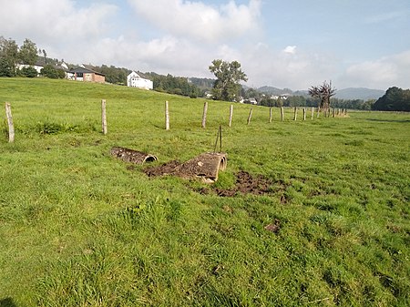 Naturschutzgebiet Erlenkamp