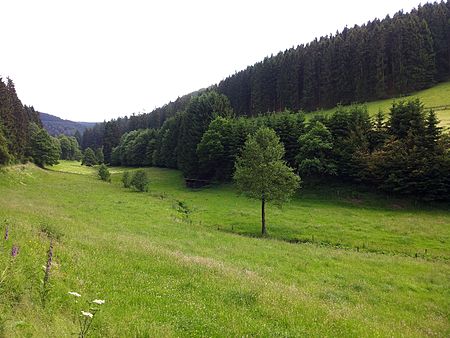 Naturschutzgebiet Uentrop